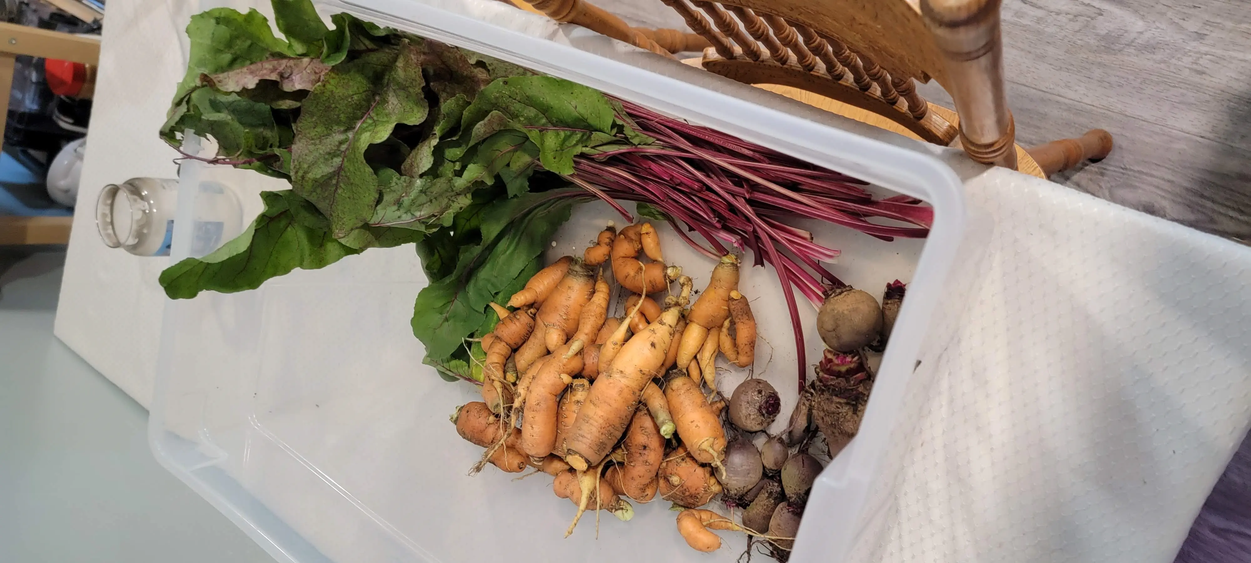 Image Produce and Cooking/20220904_122555.webp